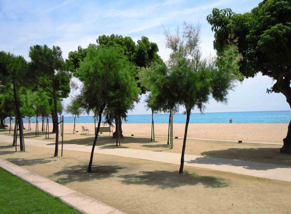 Càmping Bellsol Pineda de Mar Ngoại thất bức ảnh
